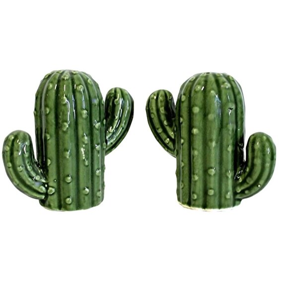 Cactus Ceramic Salt & Pepper Shaker Set Hand-Paint Durable Decorative Kitchenwar - Picture 1 of 10